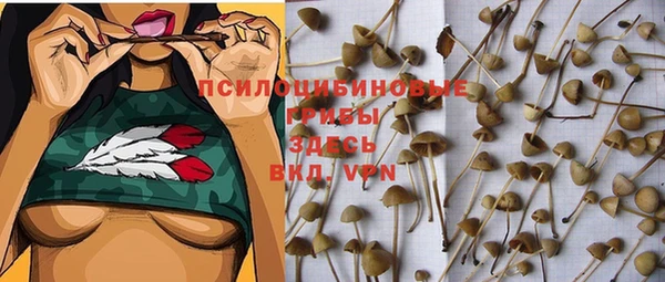винт Каменногорск