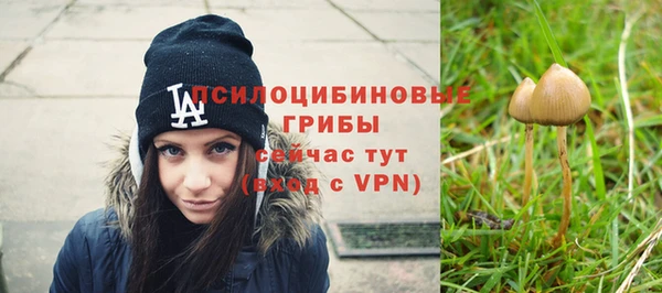 не бодяженный Богородицк