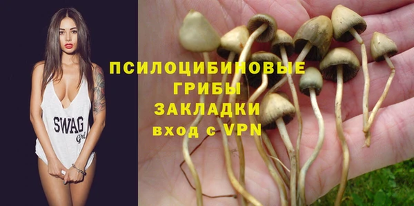 марки lsd Богданович