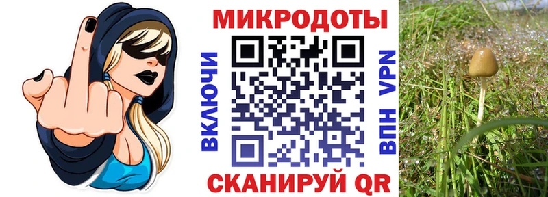 купить   Красноармейск  hydra зеркало  Псилоцибиновые грибы Cubensis 